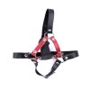 Red Black Leather Belt Silicone dildo plug Harness